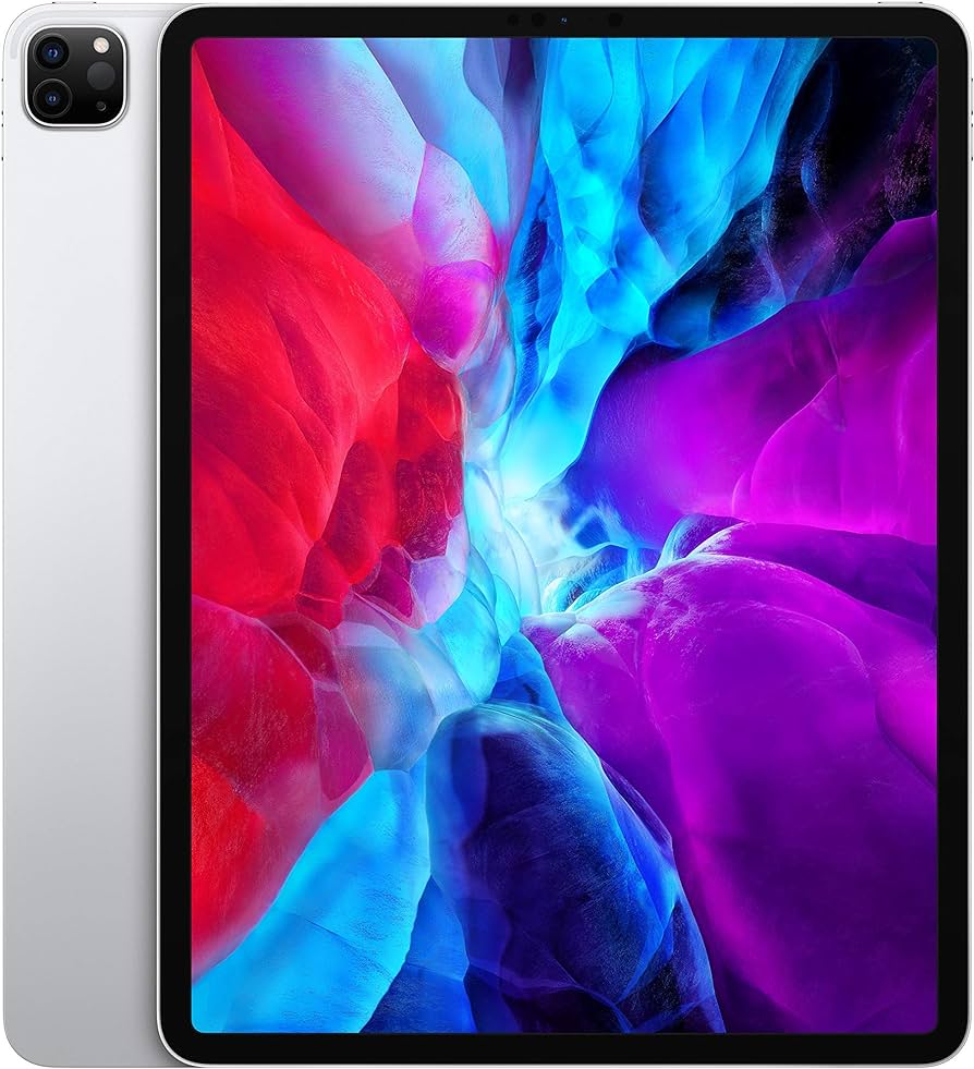 Apple IPAD PRO 11 (2020) - WiFi - 1To Argent 1To Guyane Francaise
