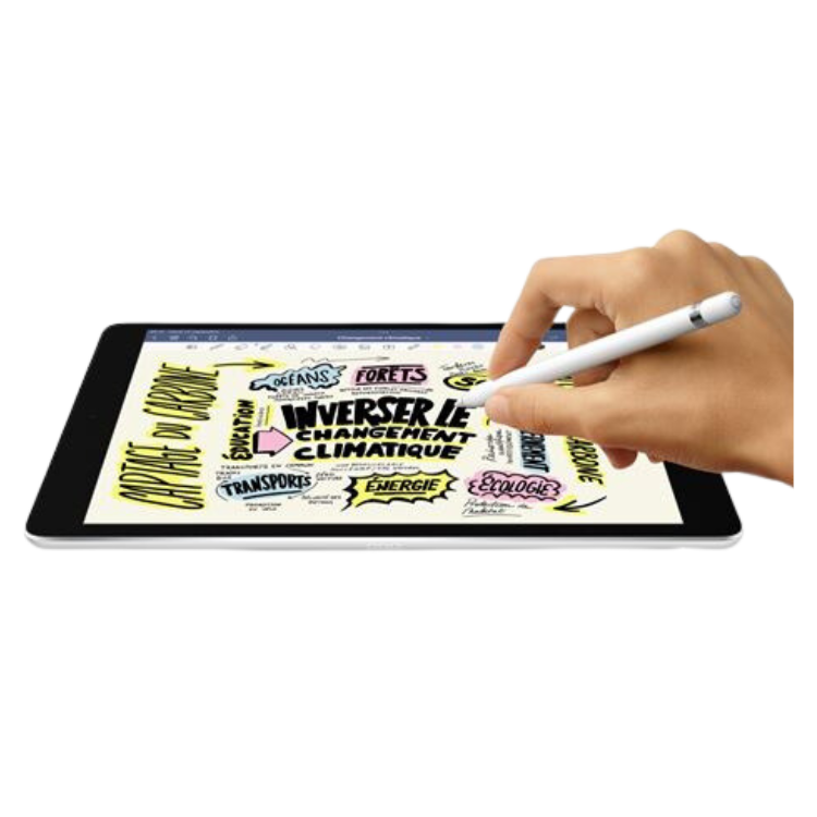 Apple IPAD 9 (2021) 10,2" - WiFi Guadeloupe