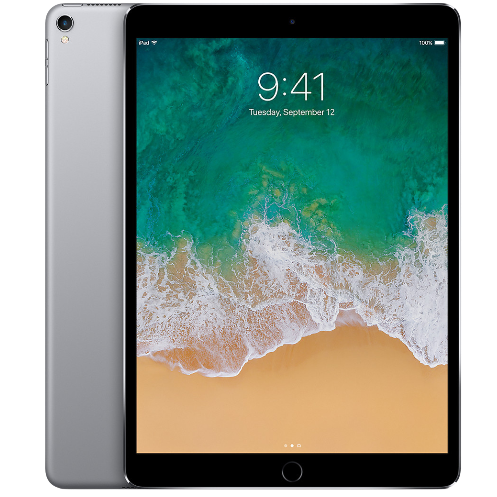 Apple IPAD PRO 10.5 (2017) - WiFi + Cell Gris sidéral Guyane Francaise